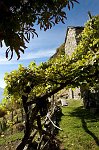 7- Bel portichetto